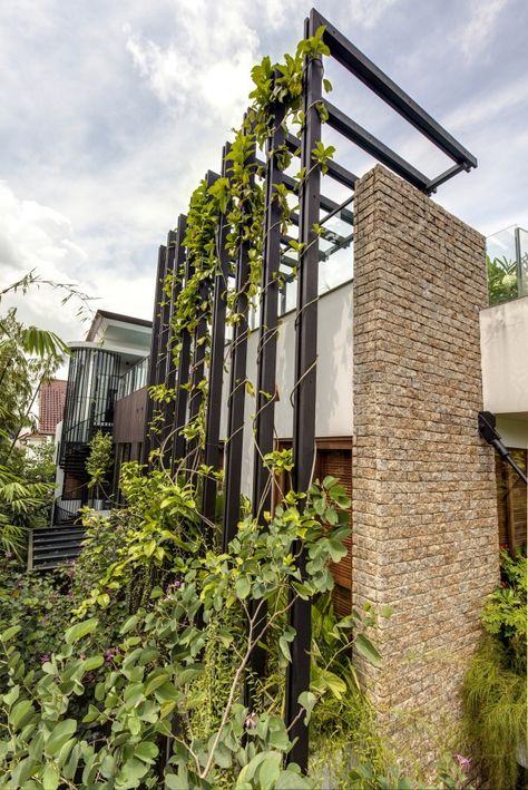 Merryn Road 40ª by Aamer Architects / Singapore Green Wall Design, Modern Trellis, Green Facade, Pergola Design, Vertical Gardens, Garden Villa, Luxury Garden, Green Architecture, Pergola Plans