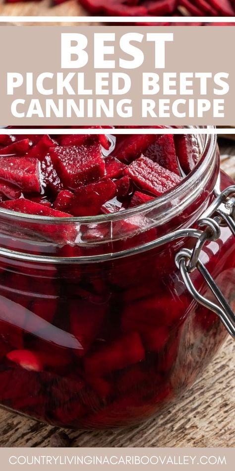 Pickled Beets Canning Recipe, Spiced Pickled Beets Recipe, Beets Canning, Best Pickled Beets Recipe, Canned Beets Recipe, Quick Pickled Beets, Refrigerator Pickled Beets, Canning Pickles Recipe, Canned Pickled Beets