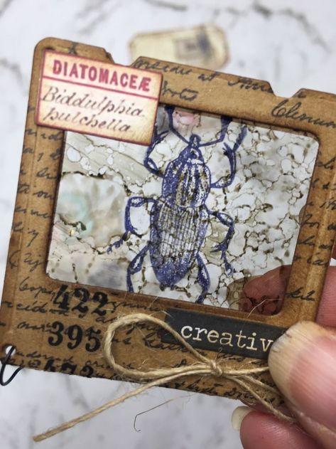 Tim Holtz Specimen, Insect Specimen, Card Making Ideas Easy, Tim Holtz Crafts, Journal Elements, Art And Craft Ideas, Aesthetic Diy, Mixed Media Crafts, Cards Making