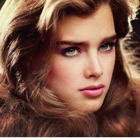 Brooke Brooke Shields Young, Thick Eyebrows, Richard Avedon, Brooke Shields, Long Brown Hair, Model Face, Beauty Icons, 인물 사진, Pretty Face