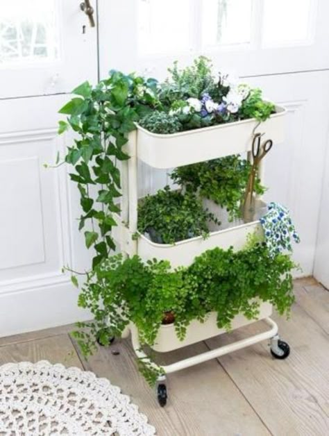 . Lilac House, Bedroom Jungle, Raskog Ikea, Ikea Plant, Indoor Garden Apartment, Ikea Plants, Ikea Raskog, Plant Rack, Small Patio Decor