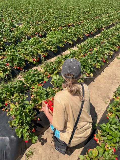 Farm Cottagecore Places, Lillie Of The Valley, Farmers Life, Farmer Life, Cowgirl Era, Farm Aesthetic, Farm Work, Summer Job, Farmer Girl