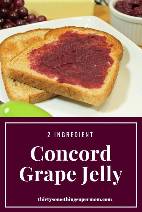 Concord Grape Jelly Recipe using only two ingredients and no sugar added!  #scd #nosugar #homemade #jellyrecipethith Concord Grape Jelly Recipe, Healthy Jelly Recipes, Grape Jelly Recipe, Healthy Jelly, Homemade Grape Jelly, Concord Grape Jelly, Sugared Grapes, Jelly Recipe, Grape Jelly