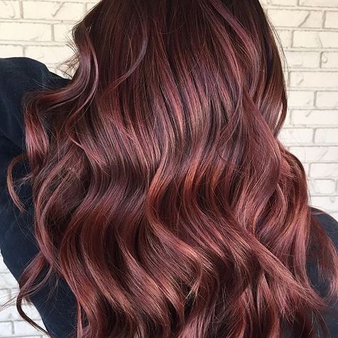 Redken Shades EQ Toner in 5RV😍 This rich, warm red😊🙌 #redkenshadeseq #redkencolor 5rv Hair Color, Mauve Hair, Burgundy Red Hair, Aveda Hair Color, Mahogany Hair, Warm Hair Color, Aveda Hair, Wine Red Hair, Perfect Hair Color