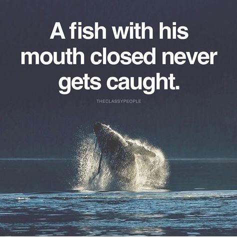 A fish with his mouth closed never gets caught Classy People Quotes, Big Mouth Quotes, Toxic Coworkers, Study Thoughts, Work Encouragement, Mouth Quote, Study Literature, Love Meaning, Soulful Quotes