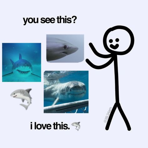 Sharks Aesthetic, Silly Sharks, Shark Pictures, Shark Art, Shark Lover, Animal World, Beautiful Sea Creatures, Marine Biologist, Cute Shark