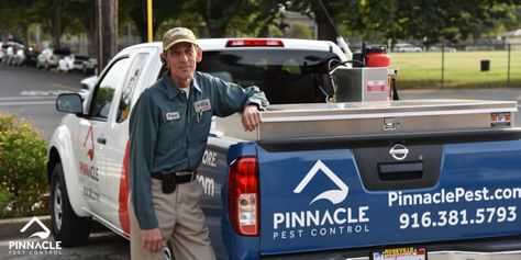 5 Ways: How to Get Rid of Roof Rats in Walls - Pinnacle Pest Control Roof Rats, Norway Rat, How To Deter Mice, Mice Infestation, Small Rat, Homemade Bleach, Rodent Repellent, Mice Repellent, Shed Organization