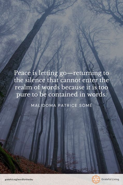 "Peace is letting go—returning to the silence that cannot enter the realm of words because it is too pure to be contained in words." -Malidoma Patrice Somé 

📷: Dedu Adrian 

#WordForTheDay #GratefulLiving #Gratitude #Gratefulness #Grateful #Quote #Quotes #DailyQuote #QuoteOfTheDay #GratitudePractice #GratitudeDaily Practice Gratitude, Daily Quotes, Quote Of The Day, Gratitude, Letting Go, Let It Be, Quotes