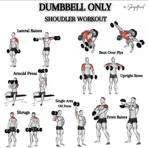 Dumbbell Workout Plan, Workout Chest, Chest Workout Routine, Best Fat Burning Workout, Dumbbell Shoulder, Dumbbell Workouts, Workout Gym Routine, Dumbell Workout, Bodybuilding Workout Plan