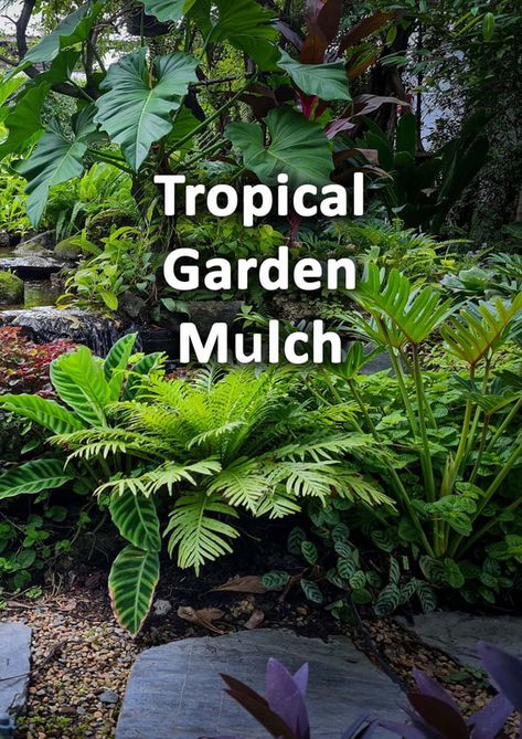 How to make a tropical garden - Design tips & ideas - Buckinghamshire Landscape Gardeners Tropical Garden Uk Landscape Design, Tropical Ground Cover Plants, Tropical Garden Bed, Tropical Ground Cover, Garden Backyard Ideas, Tropical Looking Plants, Garden Ideas Nz, Florida Plants Landscaping, Hammock Area