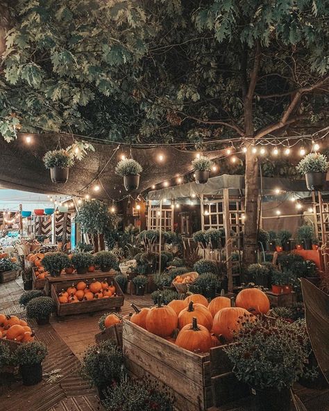 Bloxburg Pumpkin Patch, Bakery Shed, Pumpkin Christmas Tree, Tartan Christmas Decorations, Fall Videos, Fall Garden Ideas, Halloween Fall Aesthetic, Farm Lessons, Pumpkin Patch Farm