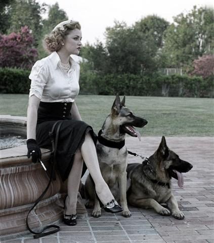 #GSDs German Shepherd Photoshoot With Owner, Vintage German Shepherd Art, Woman And German Shepherd, Black German Shepherd Service Dog, German Shepherd Art, German Sheperd Dogs, German Shep, German Shepherd Rescue, German Shepherd Sitting