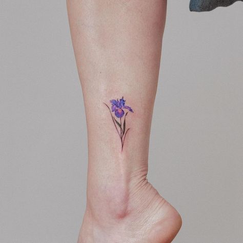 Violet Flowers Tattoo, Small Iris Tattoos For Women, Blue Violet Tattoo, Iris Violet Tattoo, Tiny Iris Tattoo, Blue Iris Tattoo, Iris Flowers Drawing, Tiny Violet Flower Tattoo, Flowers Drawing Tattoo