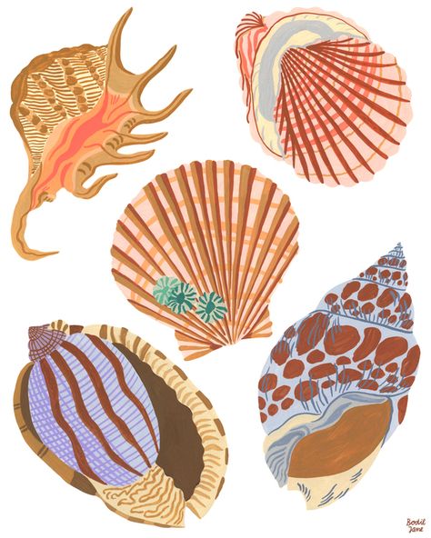 Sea Shell Illustration, Coral Illustration, Shell Illustration, Bodil Jane, Ocean Pattern, Artfully Walls, Artist Wall, Poster Illustration, Gallery Wall Decor