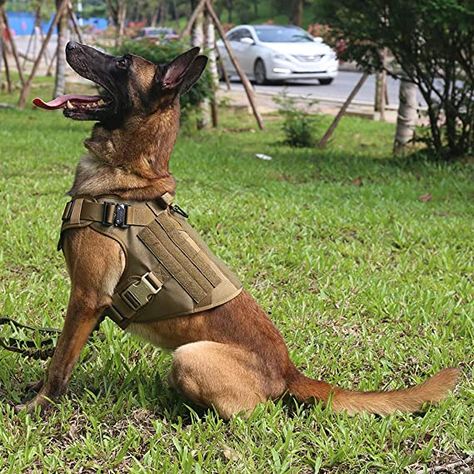 Tactical Harness, Molle Vest, Tactical Dog Harness, Dog Leg, Malinois Dog, Working Dog, Dog Vest Harness, Military Dogs, Dog Safety