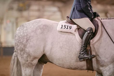 Fit for English Riding: What to Wear in the Show Ring Hunt Seat Equitation, Hunter Under Saddle, Hunt Seat, English Dress, Boots Look, Look Polished, American Quarter Horse, Western Pleasure, English Riding