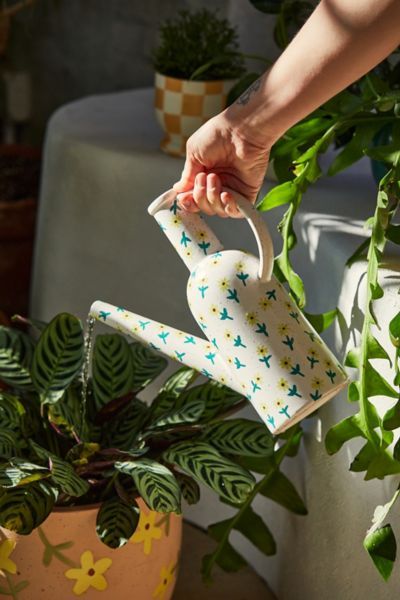 Daisy Watering Can | Urban Outfitters Watering Can Ceramic, Ceramic Watering Can, Regency England, Can Water, Indoor Watering Can, Shadow Plants, Plant Decor Indoor, Ceramics Pottery Art, Ceramics Projects