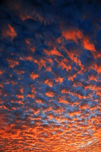 blue and orange sky before an Auburn game night! Orange Aesthetics, Auburn Football, Go Broncos, Florida Gator, Go Tigers, Blue Sunset, Broncos Football, Clemson University, Peyton Manning