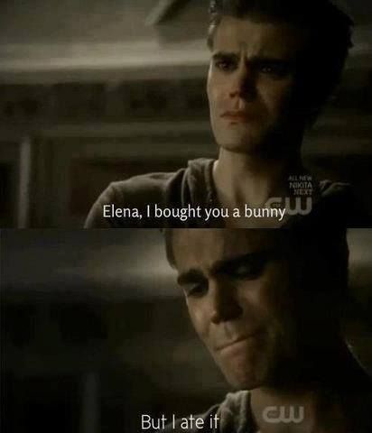 Tvd Memes Funny Hilarious, Funny Tvd Quotes, Niklaus Mikaelson Quotes, Stefan Tvd, Tvd Quotes, Vampire Diaries Memes, Vamp Diaries, The Vampire Diaries Characters, The Vampire Diaries 3