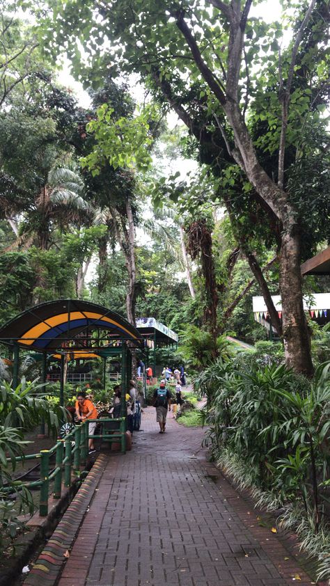 Ragunan Zoo Jakarta, Eco Park Kolkata Photography, Taman Safari, Zoo Pictures, Fake Pictures, Alam Yang Indah, World Cultures, Nature Scenes, Anime Scenery