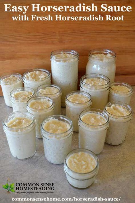 Homemade Horseradish Sauce, How To Make Horseradish, Horseradish Sauce Recipe, Natashas Kitchen, Homemade Horseradish, Horseradish Recipes, Kitchen Panel, Horseradish Cream Sauce, Prime Ribs