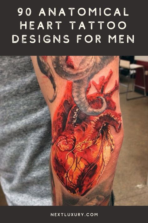 Realism Heart Tattoo, Real Heart Tattoo Designs, Anatomical Heart Tattoo Designs, Mechanical Heart Tattoo, Heart Tattoo Designs For Men, Anatomical Heart Tattoos, Real Heart Tattoos, Realistic Heart Tattoo, Discover Tattoo