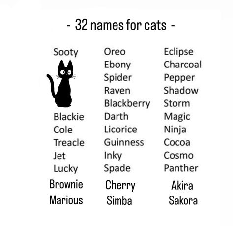 Cat Names Girl, Names For Cats, Warrior Cat Names, God Creation, Astro Cat, Witch Names, Balinese Cat, Cat Tips, Writing Planning