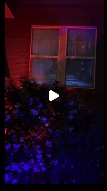 Holiday Finds🎄 on Instagram: "Transforming your windows into a spooky spectacle! 🕷️👻 Get ready for Halloween with this epic window projection idea! 🎃✨
Decor, costume and treat shop in bio 🍬👻
Idea by : thehalloweenpage on TikTok 

📢 Have you ever tried a Halloween window projection? Share your spooktacular ideas and experiences in the comments below! Let’s make this Halloween the most memorable one yet! 🎃🕸️

#HalloweenWindowProjection #SpookyDecor #HalloweenPreparations #TrickOrTreat #HauntedHouse #HalloweenMagic #ScaryGoodTime #Halloween2023 #Spooktober #HalloweenInspiration" Halloween Window Projections, Halloween Projection Window, Halloween Window Projector, Window Projection, Window Projector, Halloween Window Display, Halloween Projector, Holiday Finds, Halloween Window Decorations