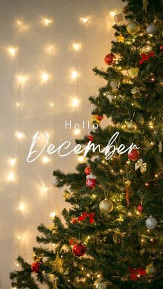 Hello Christmas Wallpaper, Its December Wallpaper, 1 December Wallpaper, Hello December 2024, Hello December Images Aesthetic, Hello December Wallpaper Aesthetic, Hello December Instagram Story, Welcome December Hello, It’s December