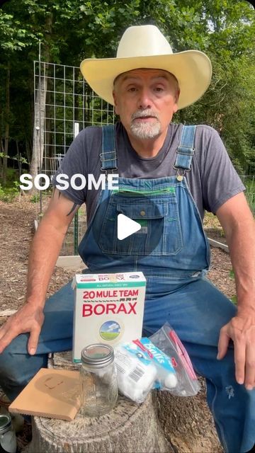 PawPaw Ridge Homestead on Instagram: "The best ant “remover” I have found! If you have pets put the solution in a plastic container with holes on the side! #garden #gardening #gardentips #ANTS" Borax For Ants, Ants In Garden, Ant Killer Recipe, Homemade Ant Killer, Ant Spray, Ant Problem, Ant Control, Kill Ants, Ant Killer