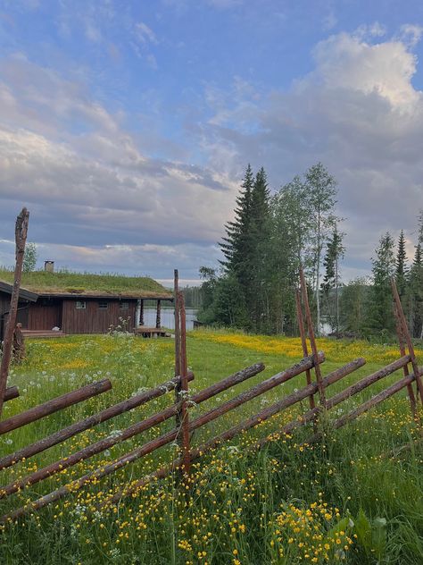 Norwegian cabin in the summer 🌼🫶🏼 Norwegian Summer Aesthetic, Norwegian Aesthetic, Norwegian Summer, Norwegian Cabin, Scandinavian Summer, Summer Cabin, Theme Inspiration, Oc Inspo, Summer 24