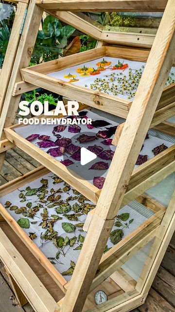 Sun Dehydrator, Herb Decor, Self Sustaining Home, Solar Dehydrator, Drying Room, Vegetable Garden Raised Beds, Farm Plans, Food Dehydrator, Farm Projects