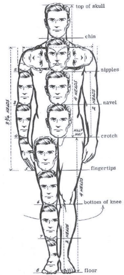 Exaggerated Proportions Art, Digital Anatomy, File Drawing, Corner Drawing, Proportion Art, Human Proportions, Blurry Images, Pencil Arts, Tracing Art