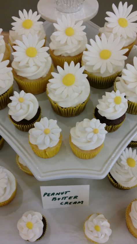 Daisy Cupcakes, Daisy Decorations, Daisy Party, Cupcakes Decorados, Beautiful Cupcakes, Bee Birthday, Flower Cupcakes, Cake Business, 10th Birthday Parties