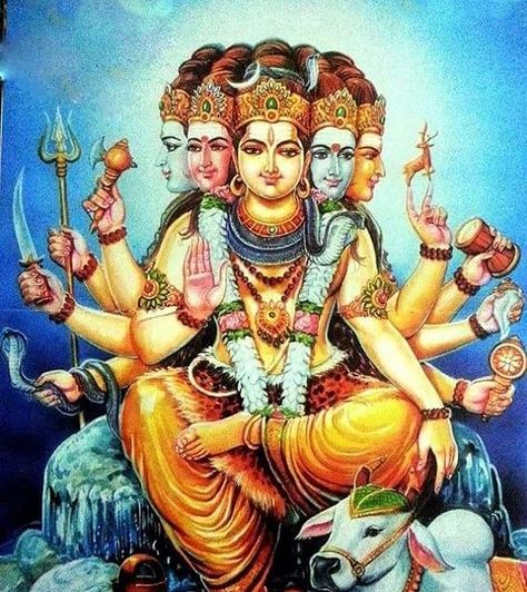 Har Har Mahadev Instagram photo Sada Shiv, Shiva Shankara, Shiv Shankar, Mahakal Shiva, Har Mahadev, Har Har Mahadev, Lord Shiva Family, Lord Vishnu Wallpapers, Vedic Art