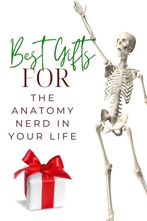 Best Gifts for An Anatomy Nerd - The Massage Business Mama Therapist Marketing, Fort Lewis College, Massage Marketing, Licensed Massage Therapist, Massage Business, Alternative Healing, Motivation Goals, Alternative Therapies, Massage Techniques