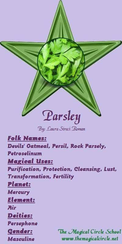 parsley Herbal Correspondences, Plant Magick, Magick Herbs, Magical Circle, Magickal Herbs, Witch Herbs, Green Witchcraft, Witch Garden, Magic Herbs