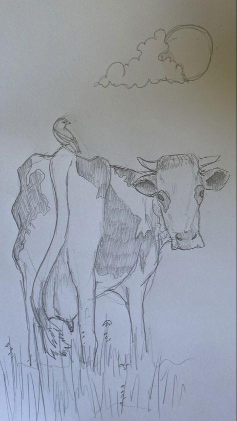 Cow Laying Down Drawing, Potato Drawing Cute, Cow Drawing Easy, Picnic Painting, Potato Drawing, Drawing Of A Bird, Cow Illustration, Cow Drawing, A Cow