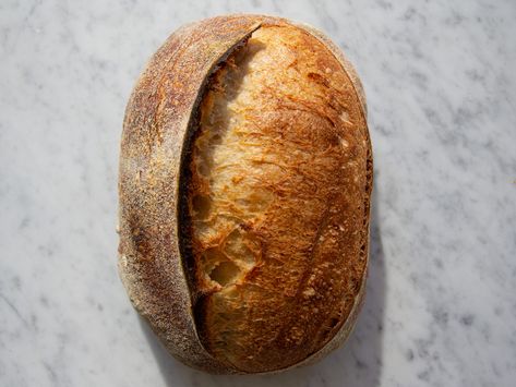 How to Make a Sourdough Bread Loaf Recipe | Serious Eats Bread Lame, Protein Bread, Sprinkle Salt, Serious Eats, Whole Wheat Flour, Bread Flour, Fermenting, Sourdough Bread, How To Make Bread