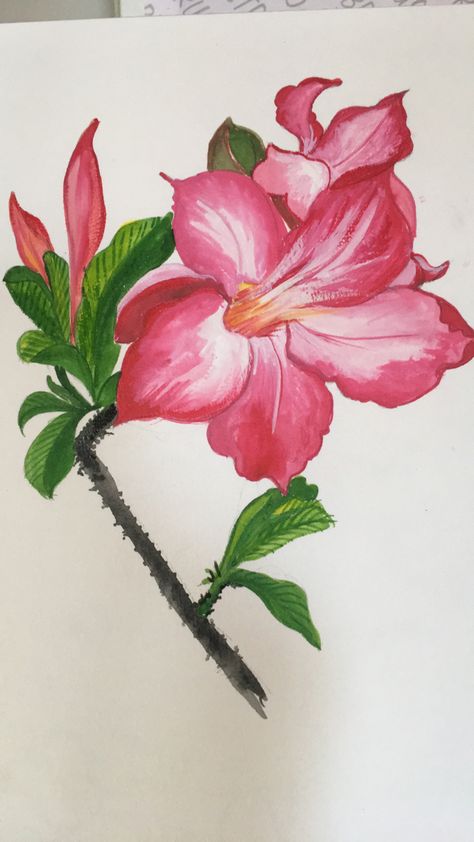 Desert Rose Tattoo, Flower Calendar, Rose Drawing, Watercolor Flower, Desert Rose, Rose Tattoo, Lotus Flower Tattoo, Watercolor Flowers, Flower Tattoo