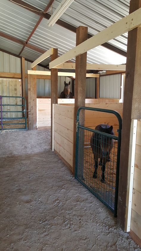 My Dad built the end stall for our bigger horse with a rolling door for her leading to the outside paddock. This stall takes up the width of this barn across the back. All other stalls have removable divider 2 x 10 wooden slats for easy reconfiguration when needed. Wooden Horse Stalls, Wood Horse Stalls, Portable Horse Stalls, Horse Stall Ideas Diy Cheap, Homemade Horse Stalls, Donkey Stable Ideas, Stall Doors For Horses, Mini Horse Stall, Horse Stall Ideas Cheap