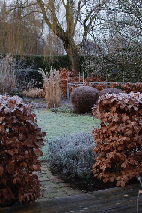 Garden Visit: At Home with Maria Dremo Sundström in Sweden - Gardenista Miscanthus Sinensis Malepartus, Garden Bonsai Tree, Garden Hedges, Garden Shrubs, Flower Landscape, The Secret Garden, Garden Photography, Bonsai Garden, Garden Pool