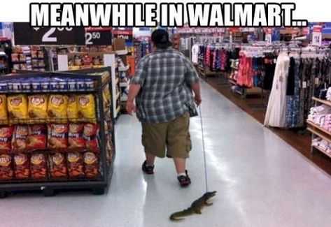 Walmart Lustig, Meanwhile In Walmart, Funny Walmart Pictures, Funny Walmart, People At Walmart, Walmart Pictures, Wally World, Walmart Funny, Performance Marketing