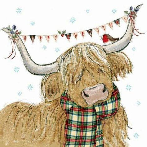 Highland Cow Wallpaper, Highland Cow Painting, Christmas Highland Cow, Cow Wallpaper, Highland Cow Art, Cow Drawing, Christmas Drawings, Cow Christmas