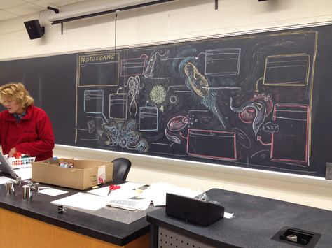 Zoology class. A former zoology student who's an art major drew us a study guide on the chalkboard (UWRF) Zoology Student Aesthetic, Zoology Degree, Zoology Major, Zoology Student, Science Rules, Art Major, Intense Love, River Falls, Life Aesthetic