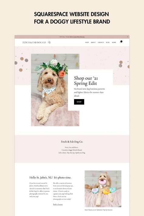 Puppy Website Design, Slider Web, Squarespace Layout, Squarespace Hacks, Squarespace Tutorial, Squarespace Blog, Squarespace Web Design, Professional Website Design, Squarespace Design