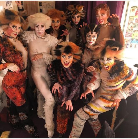 Cats Broadway, Jellicle Cats, Cats Musical, Broadway, Musical, Quick Saves