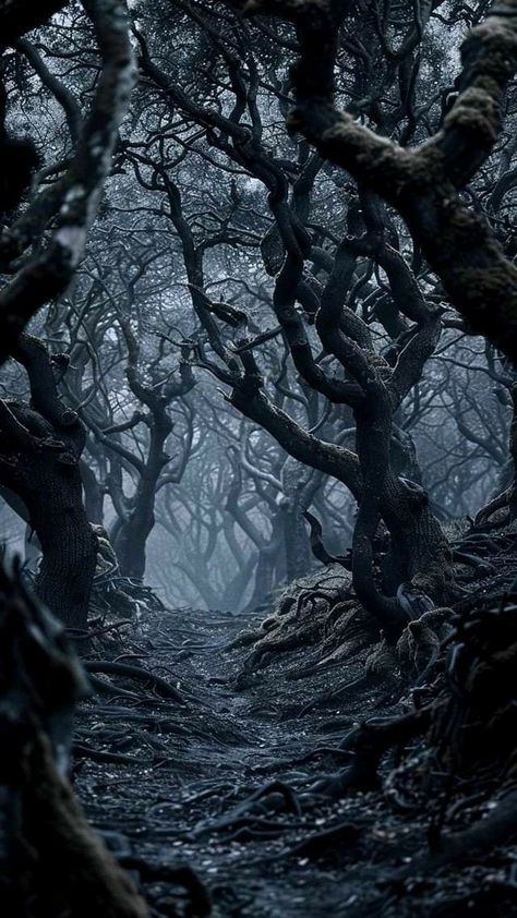 Mystical Nature Aesthetic, Creepy Fantasy Forest, Anathema Aesthetic, Dark Fantasy Places, Dark Fantasy Landscape, Horror Landscape, Dark Fantasy Forest, Goth Forest, Evil Forest