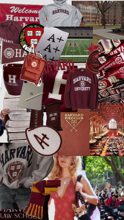 Harvard University Campus, Harvard Mba, University Inspiration, Harvard Yale, Harvard Students, College Vision Board, Law School Inspiration, Harvard College, Medical School Life