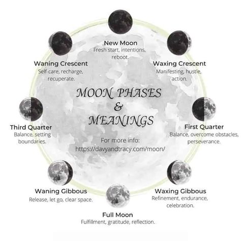 Moon Phases Meaning, Moon Stages, Phase Of The Moon, Moon Meaning, Next Full Moon, Body Reset, Moon Spells, Moon Reading, New Moon Rituals